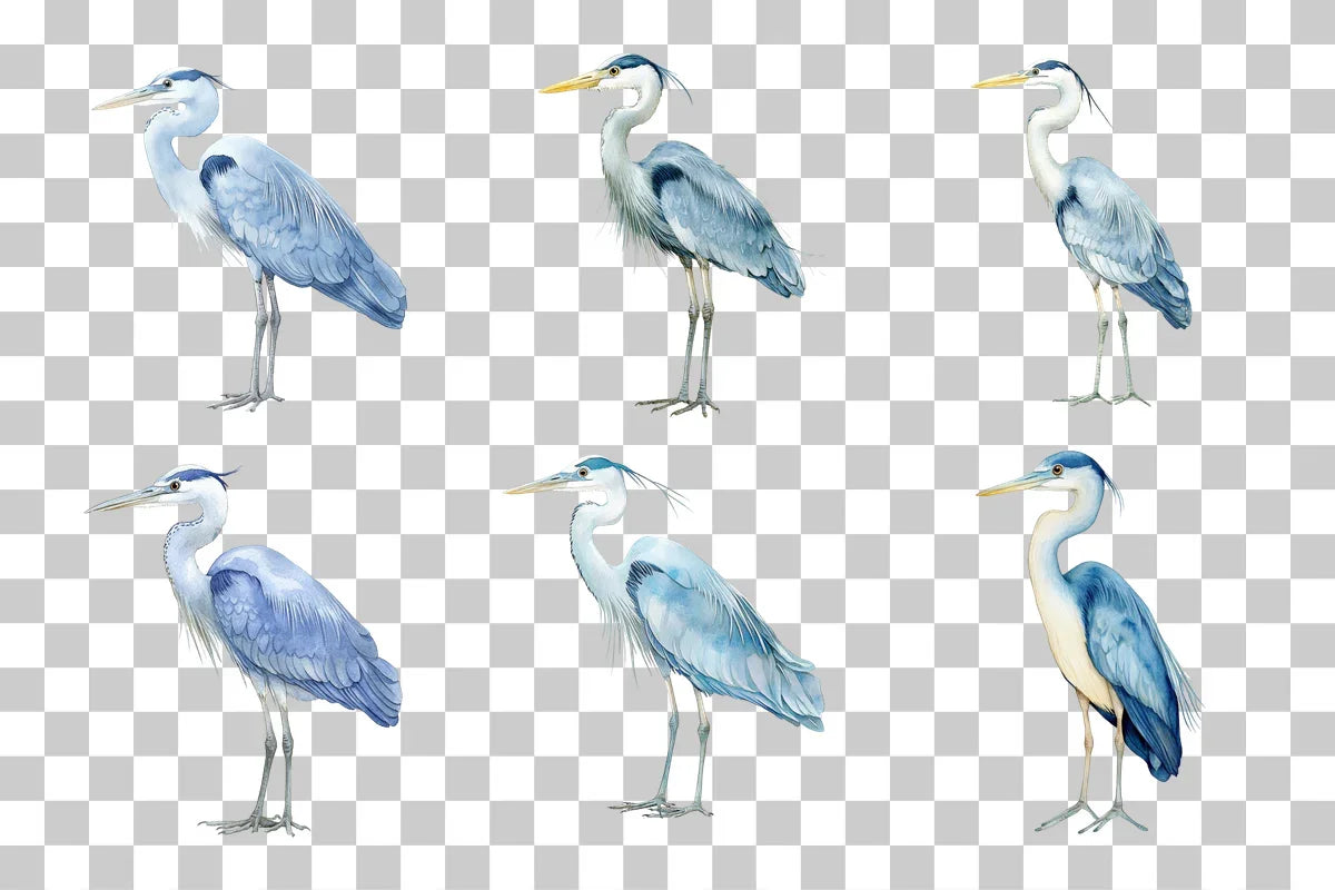 Blue Heron Bird Clipart Bundle - CraftNest - Digital Crafting and Art