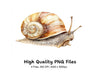 Cute Cartoon Snail Clipart Bundle