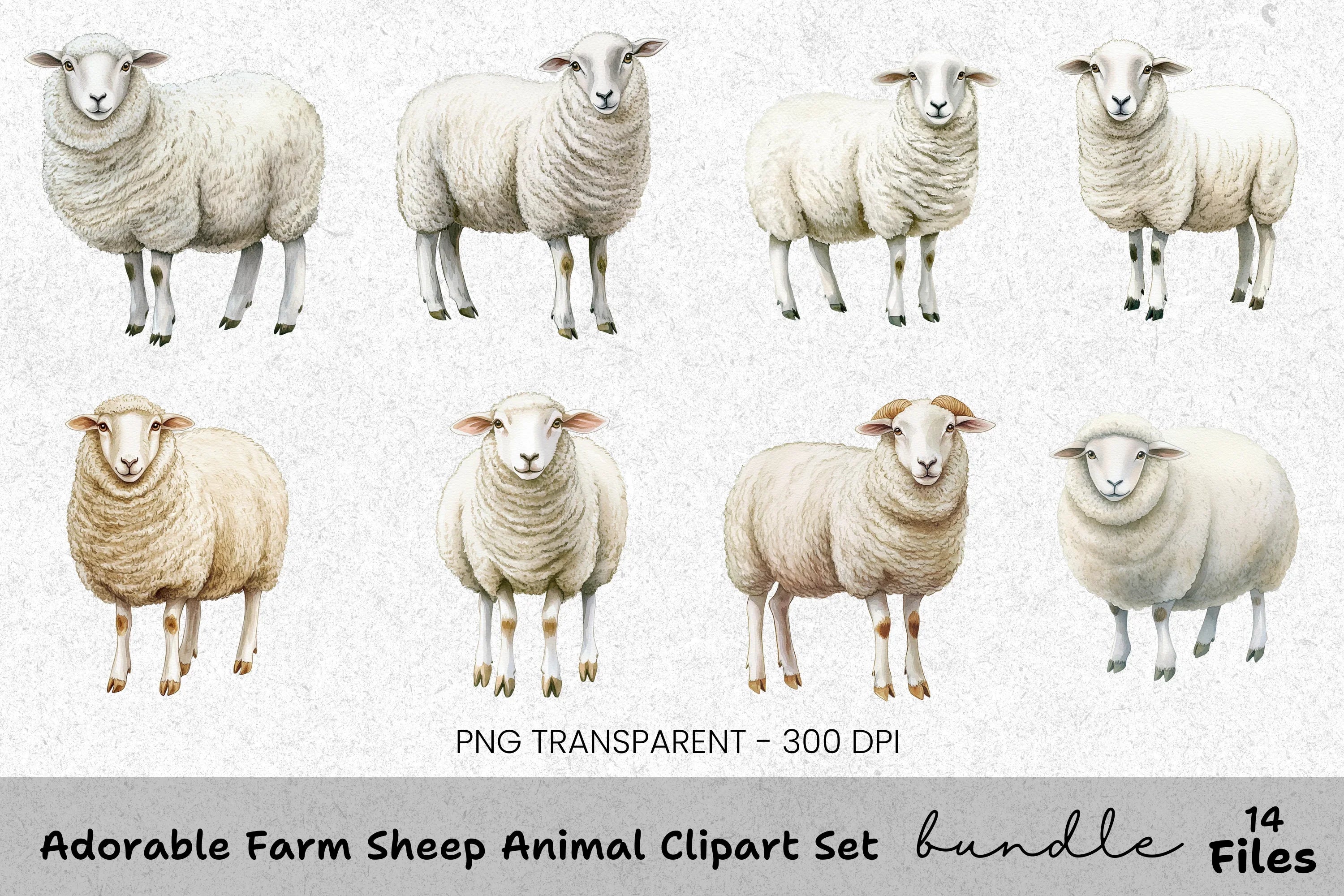 Adorable Farm Sheep Animal Clipart Bundle