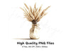 Boho Pampas Grass Clipart Bundle