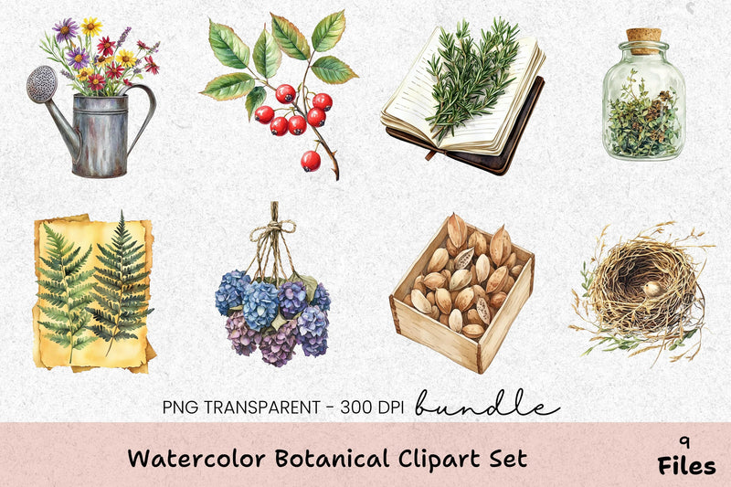 Botanical Clipart Set Bundle - CraftNest - Digital Crafting and Art