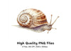 Realistic Snail Clipart Bundle