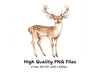 Cute Fawn Deer Clipart Bundle