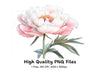 Elegant Pink Peony Clipart Bundle