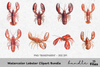 Lobster Clipart Bundle