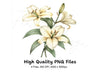 Soft Yellow Lily Flower Clipart Bundle