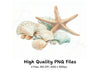 Starfish and Seashells Clipart Bundle