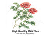 Red Roses Clipart Bundle