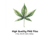 Cannabis Leaves Clipart Bundle