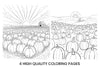 Sunrise Over Pumpkin Field Coloring Books