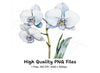 Elegant White Orchid Clipart Bundle