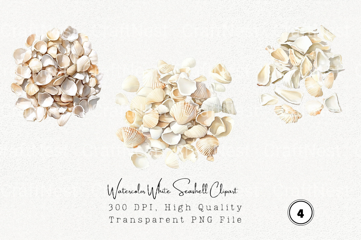 White Seashell Clipart Bundle