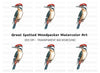 Vibrant Woodpecker Clipart Bundle