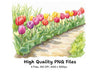 Tulip Garden Path Clipart Bundle