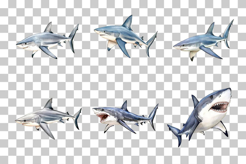 Shark Ocean Predator Clipart Bundle - CraftNest - Digital Crafting and Art