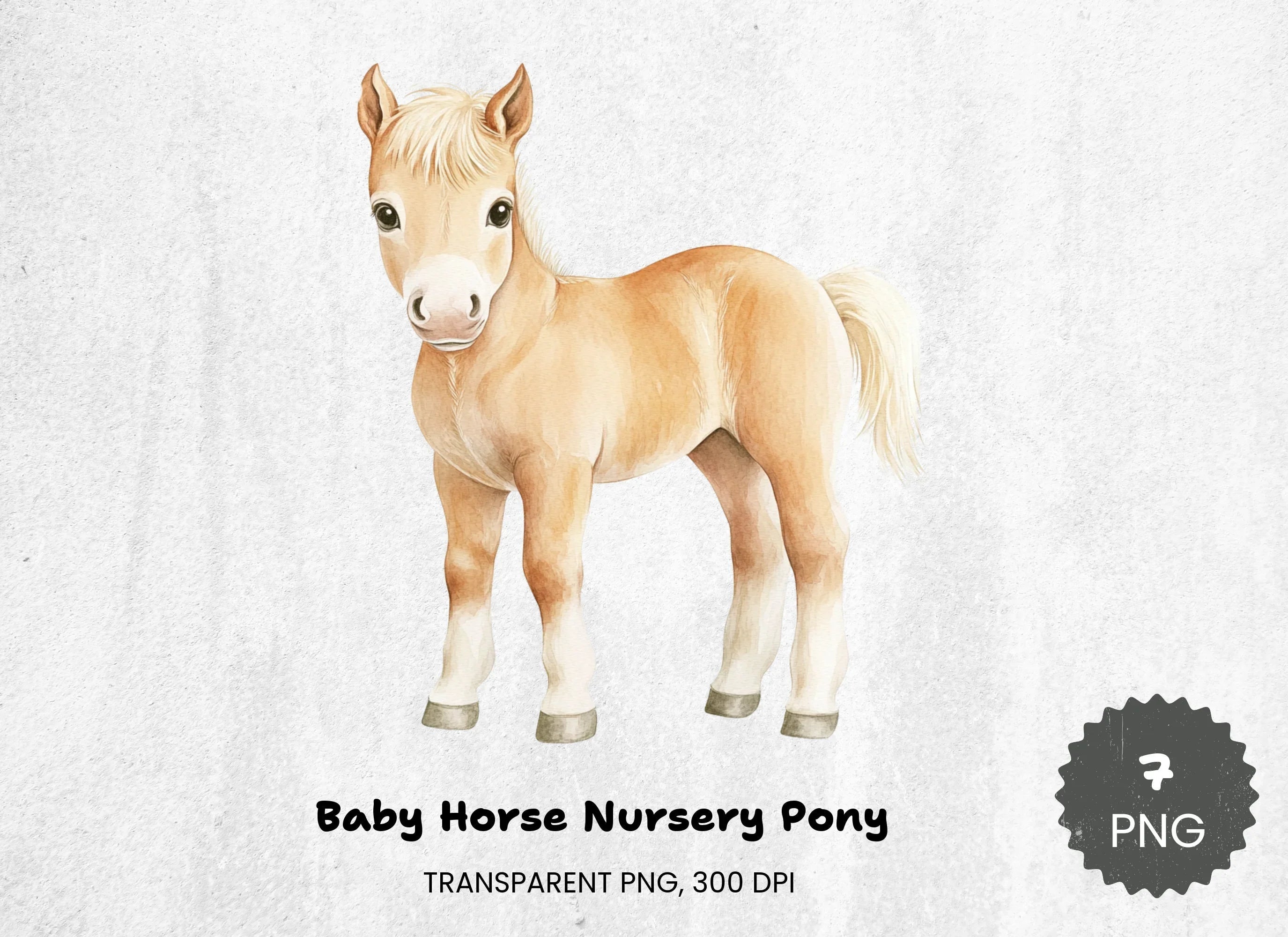 Baby Horse Nursery Pony Clipart Bundle - CraftNest - Digital Crafting and Art
