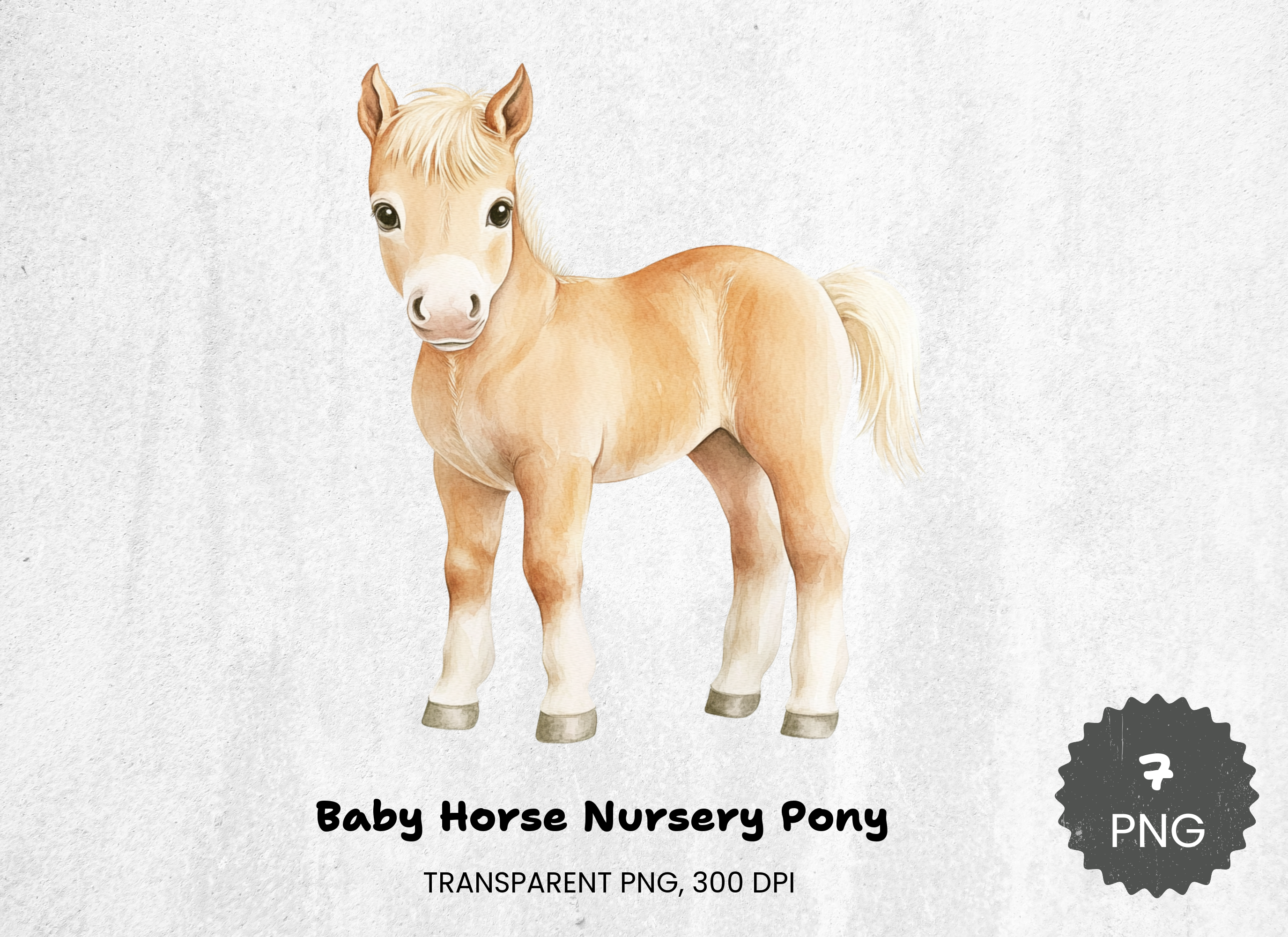 Baby Horse Nursery Pony Clipart Bundle