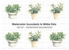 Potted Succulent Clipart Bundle