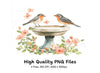 Charming Bird Bath Clipart Bundle