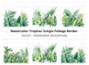 Jungle Border Clipart Bundle