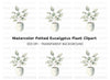 Potted Plant Clipart Bundle