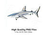 Great White Shark Clipart Bundle