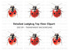 Cute Ladybug Clipart Bundle