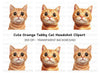 Orange Cat Faces Clipart Bundle