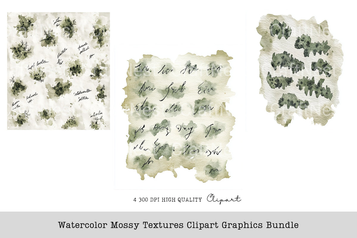 Mossy Textures Graphics Clipart Bundle