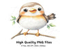 Cute Baby Birds Clipart Bundle
