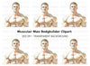 Muscular Man Portrait Clipart Bundle