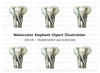 Baby Elephant Tumbler Clipart Bundle