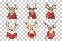 Christmas Reindeer with Scarf Clipart Bundle - CraftNest - Digital Crafting and Art
