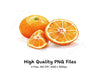 Fresh Orange Clipart Bundle