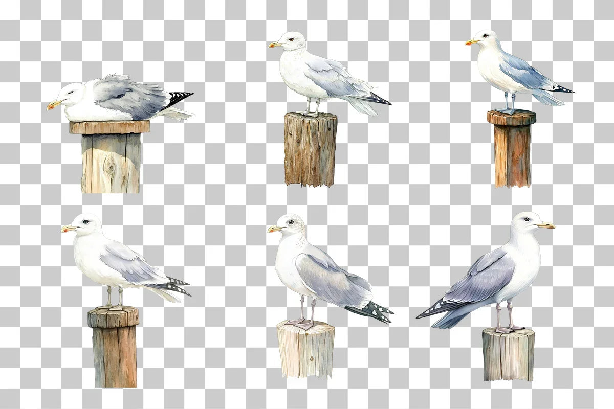 Seagull on Coastal Post Clipart Bundle - CraftNest - Digital Crafting and Art