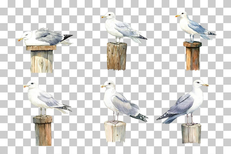 Seagull on Coastal Post Clipart Bundle - CraftNest - Digital Crafting and Art