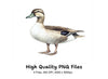 Realistic Duck Clipart Bundle