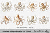 Detailed Octopus Aquatic Life Clipart Bundle