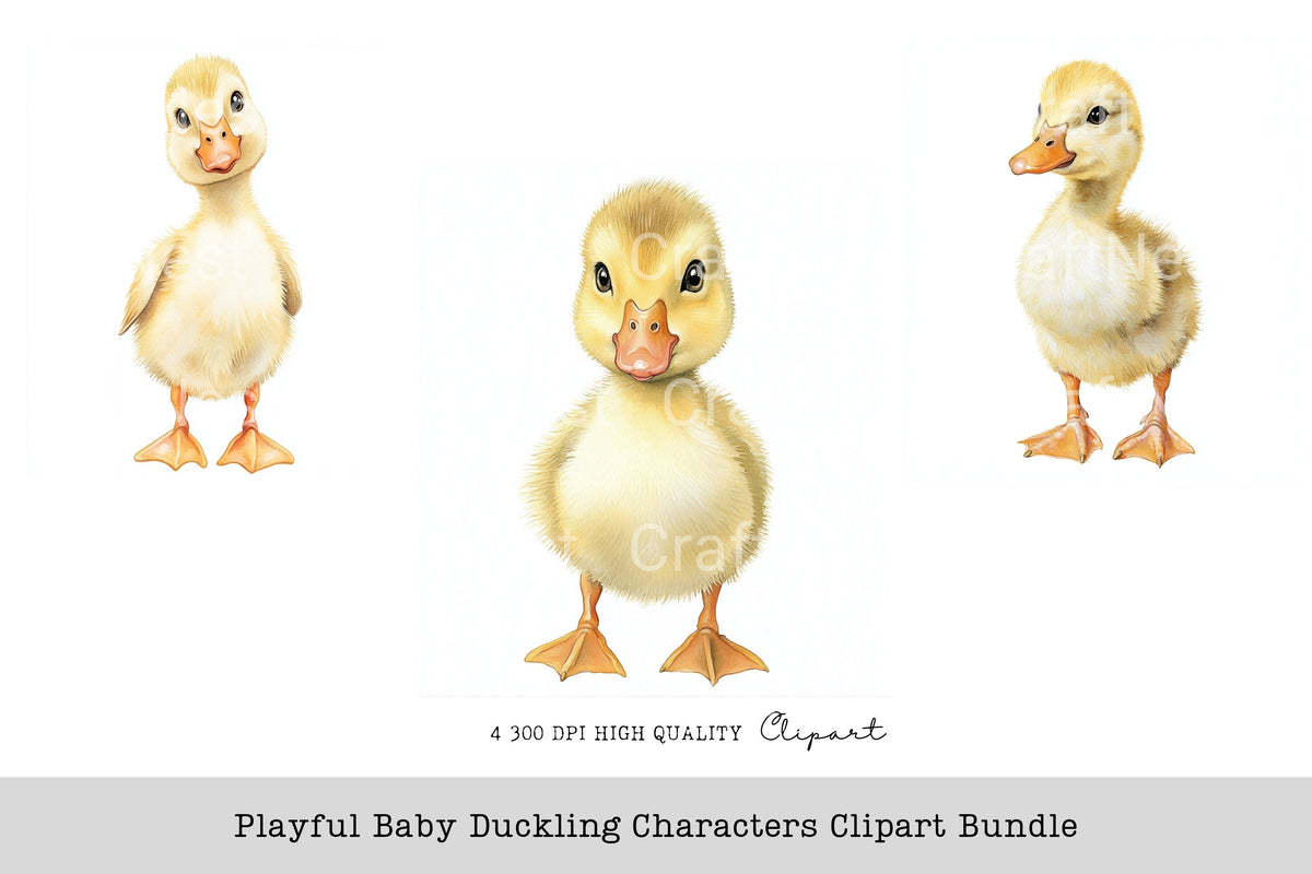 Playful Baby Duckling Characters Clipart Bundle