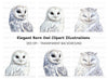 Barn Owl White Owls Clipart Bundle