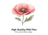 Pink Poppy Clipart Bundle