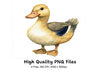 Cute Baby Ducklings Clipart Bundle