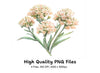Elegant Flower Bouquets Clipart Bundle