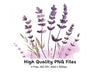Lavender Clipart Bundle