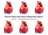 Vibrant Cardinal Clipart Bundle