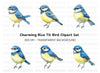 Blue Tit Bird Clipart Bundle