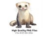 Cute Ferret Clipart Bundle