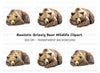 Sleeping Grizzly Bear Clipart Bundle