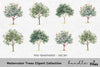 Trees Clipart Bundle