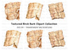 Birch Bark Clipart Bundle
